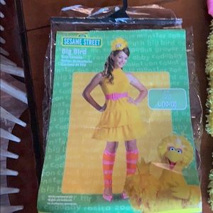 Big Bird Girls Costume